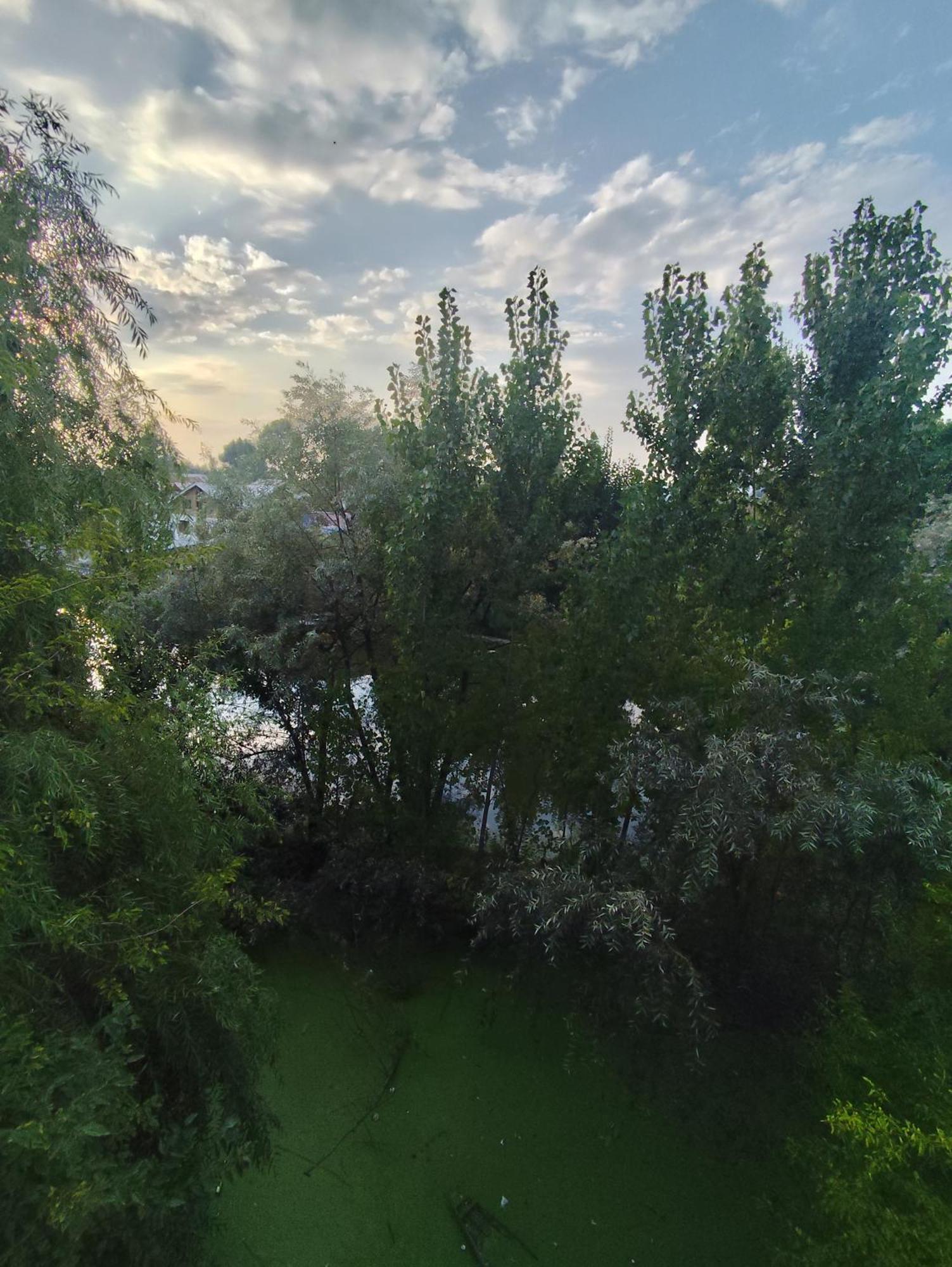 The Heaven Tree Hotel Srinagar  Ngoại thất bức ảnh